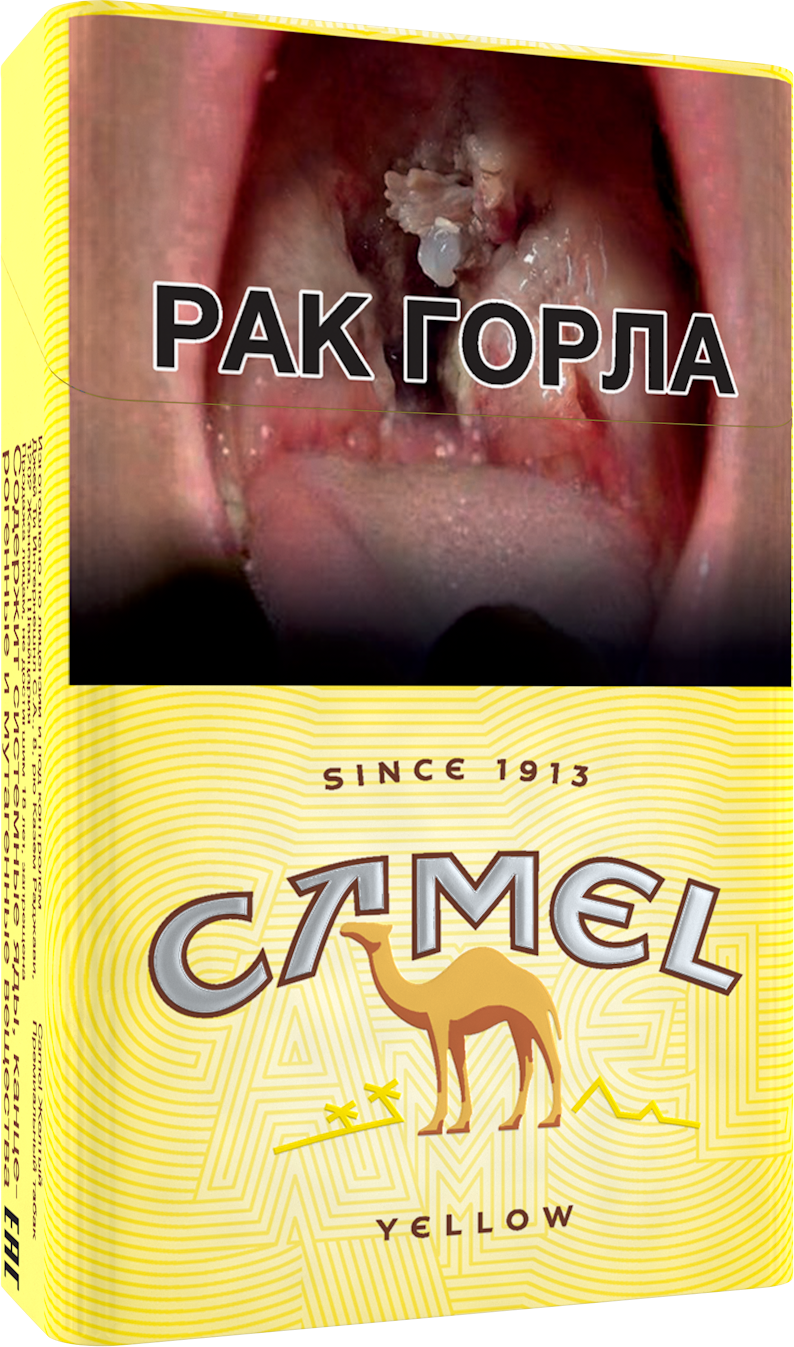 Camel сигареты вкусы фото